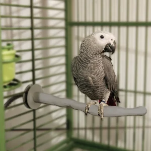 Heated Comfort Perch